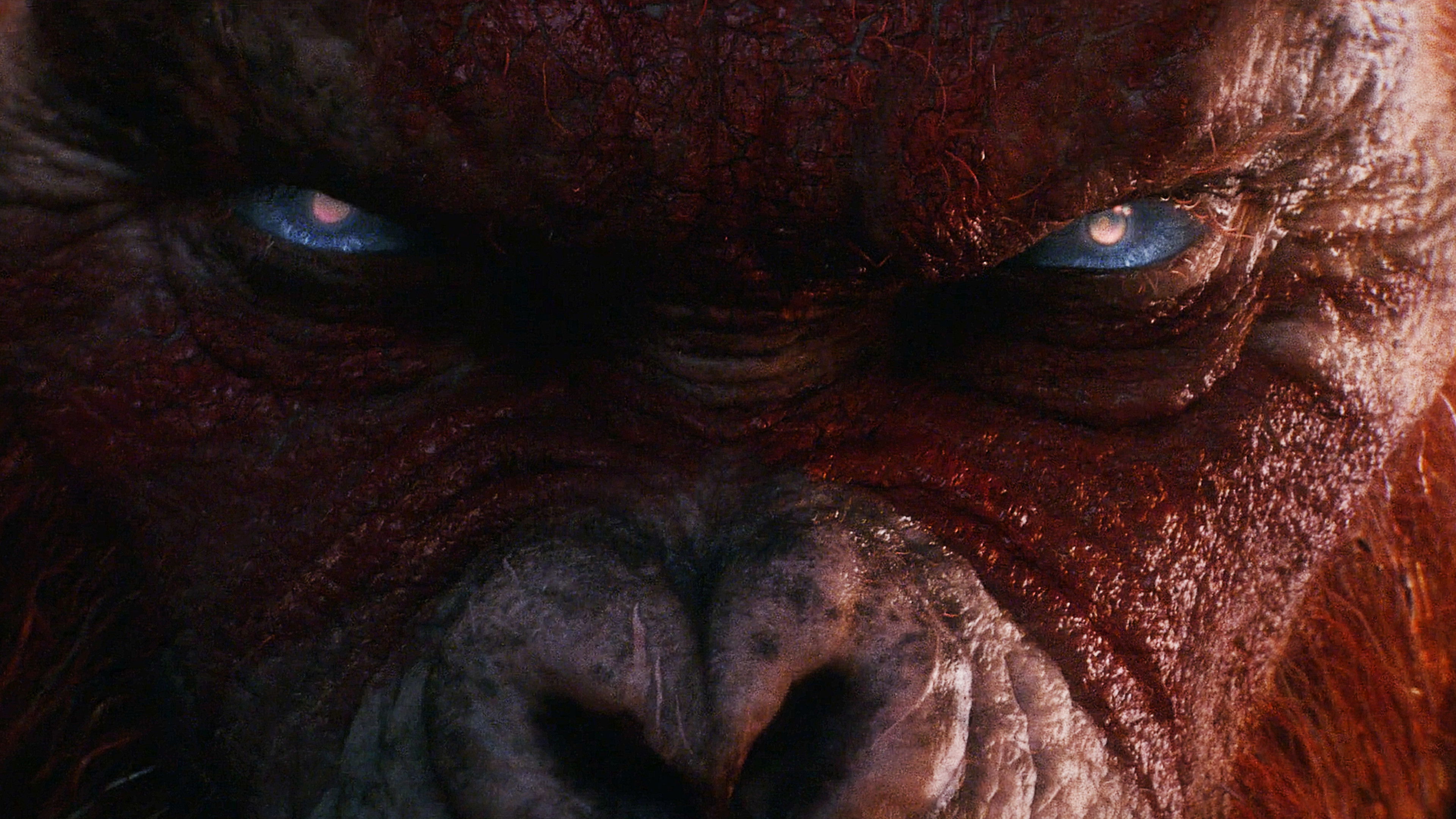 Godzilla x Kong: The New Empire, still 1