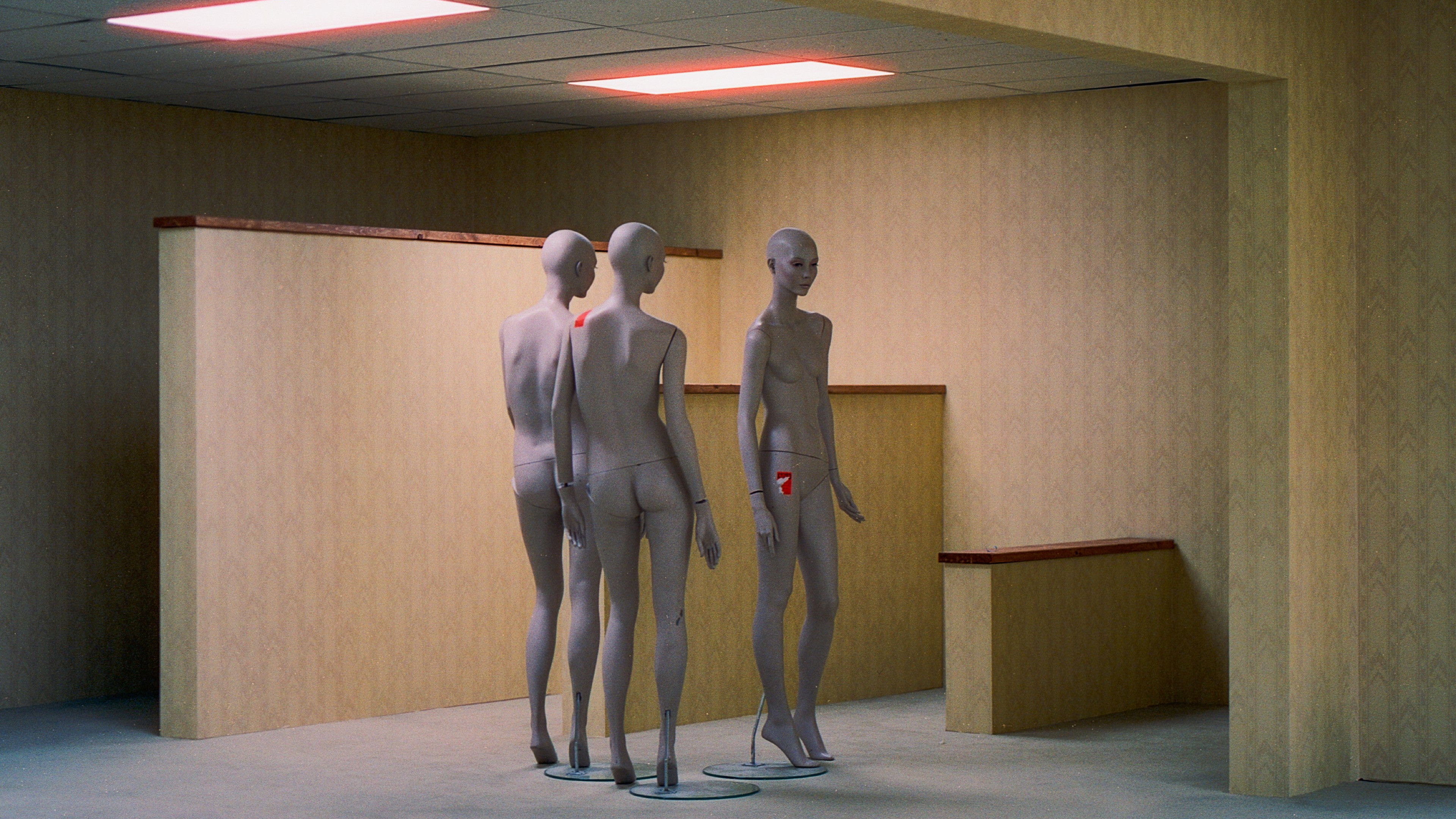 Backrooms, still 3