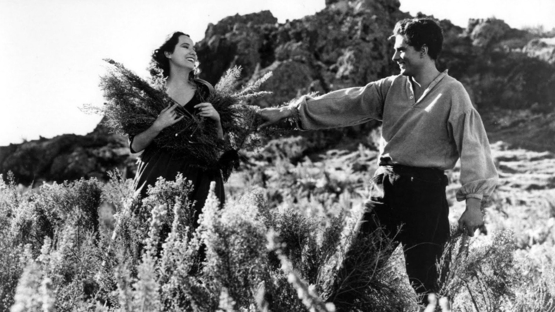 Wuthering Heights, still 1